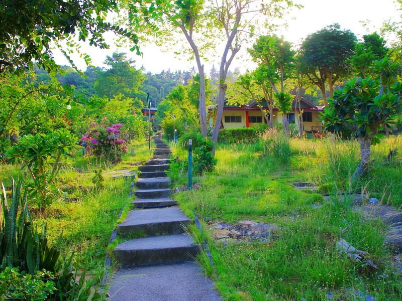 PP Ingphu Viewpoint фото 10