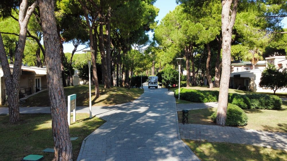 Pine Beach Belek фото 175