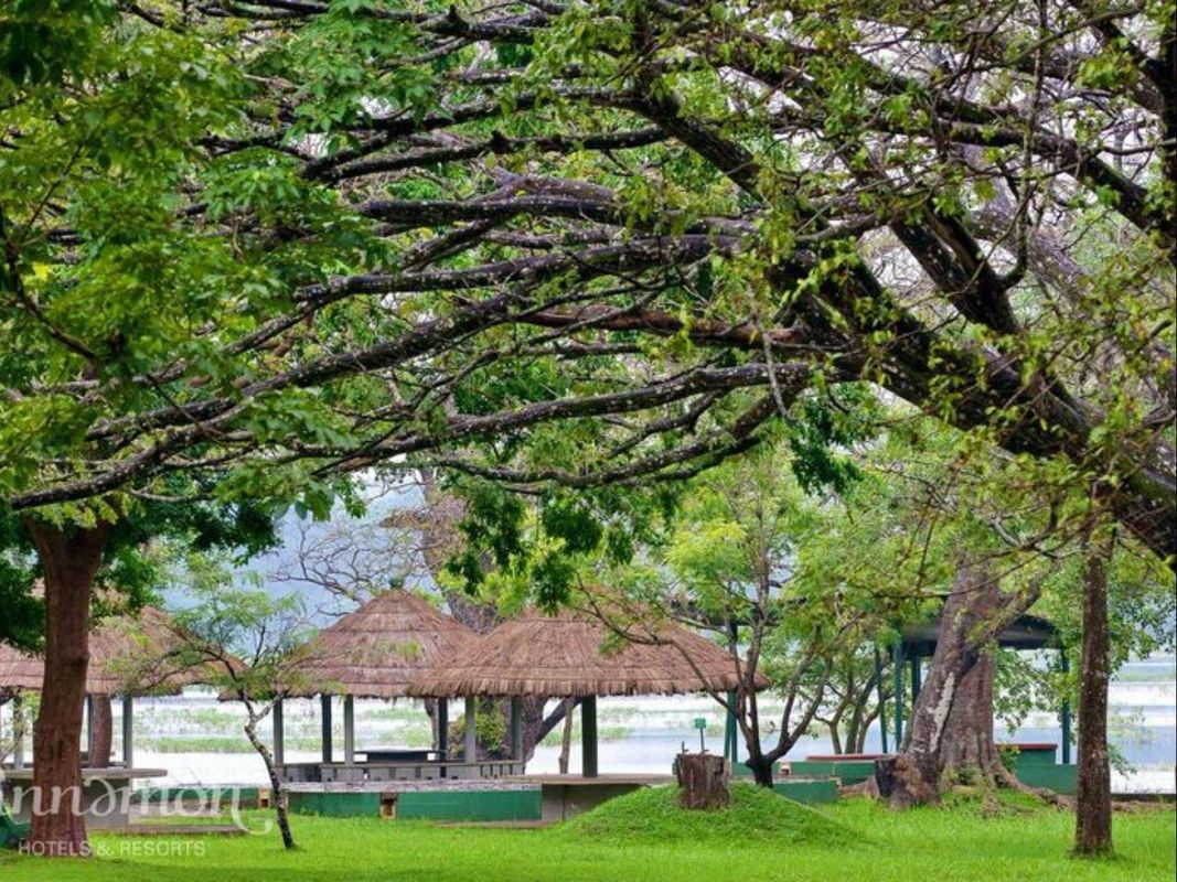 Habarana Village by Cinnamon фото 2