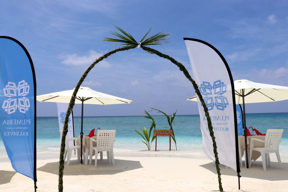 Guest House ««Plumeria Maldives» Guest House» фото 84