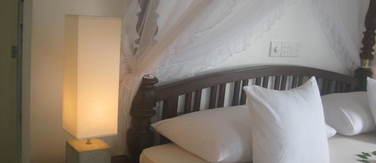 Фото отеля The Beach Hotel Oasis Bridge