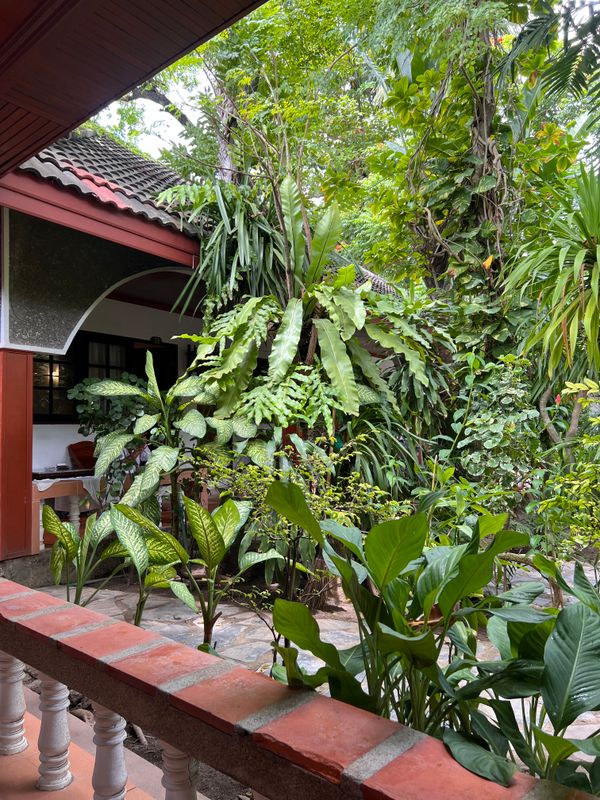 Tropica Bungalow Beach Hotel фото 19