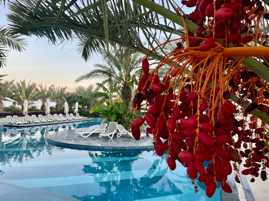 Kirman Belazur Resort & Spa фото 84