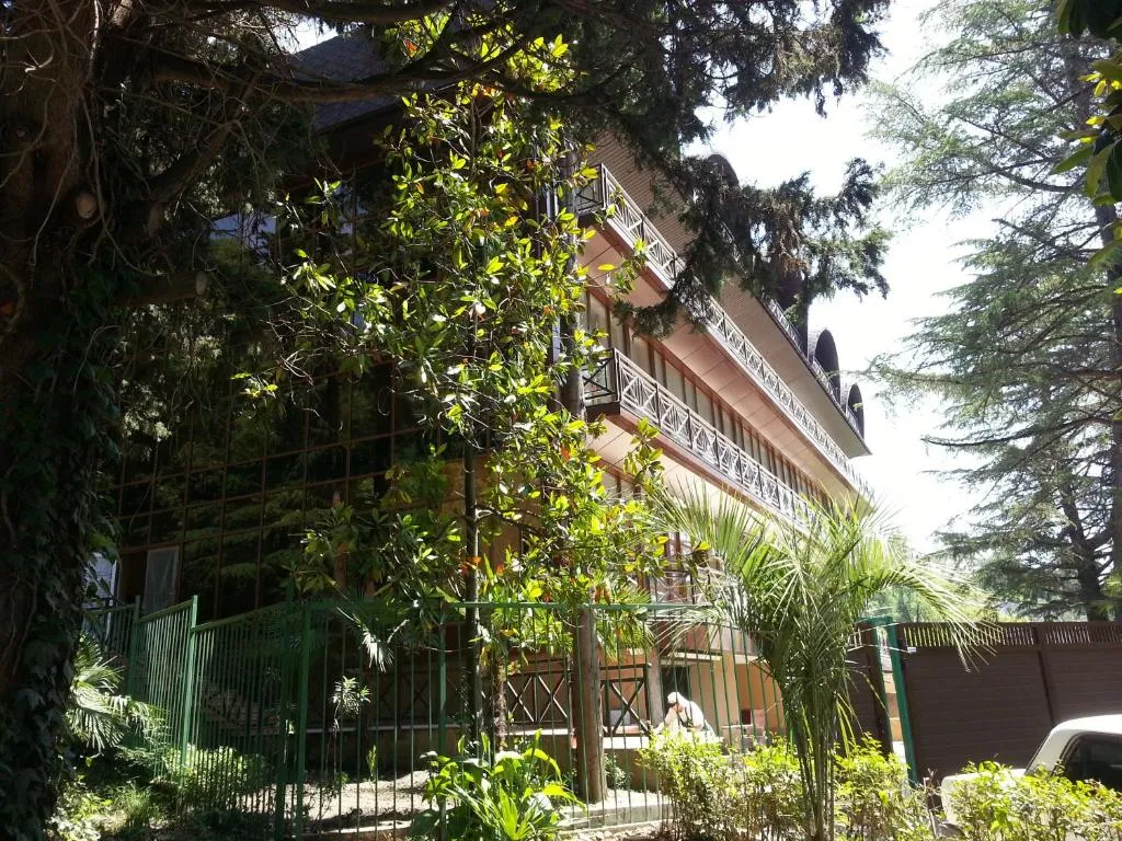 Green Club фото 0