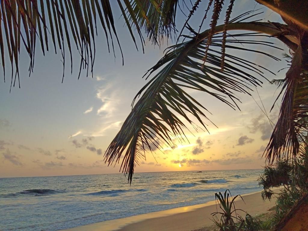 South Beach Villa@69 фото 10