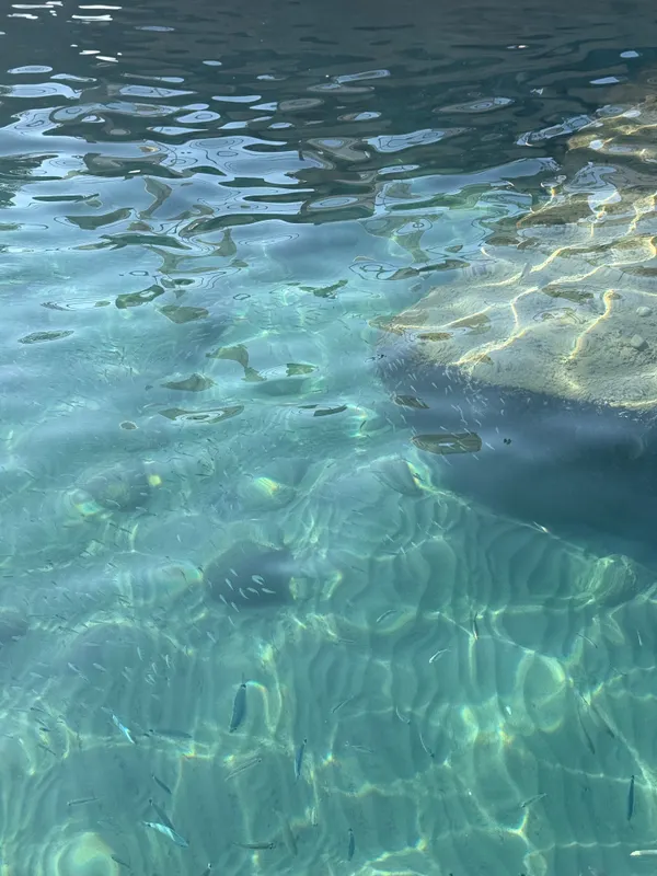 Baia Salima Kemer фото 68