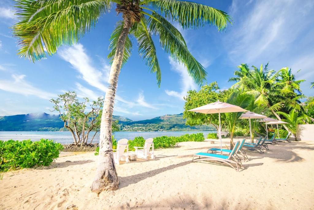Pineapple Beach Villas фото 48
