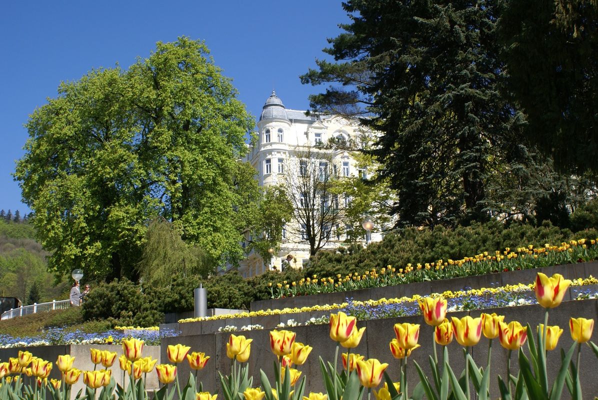 Hotel Belvedere фото 11