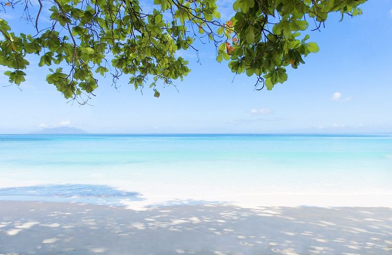 Story Seychelles фото 25
