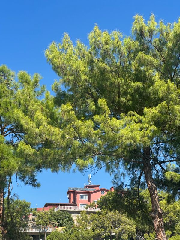 Senza Garden Holiday Club фото 150
