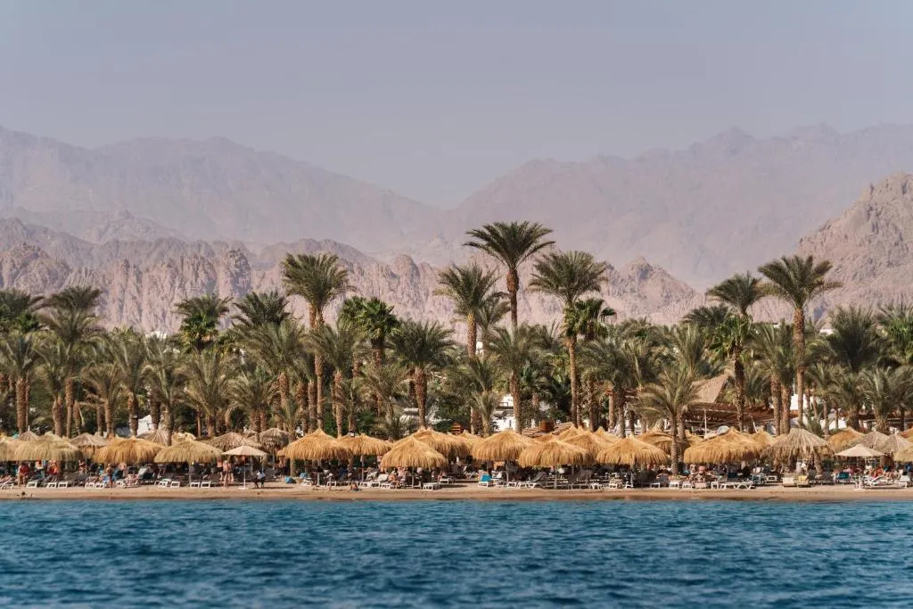 Jaz Sharm Dreams фото 132