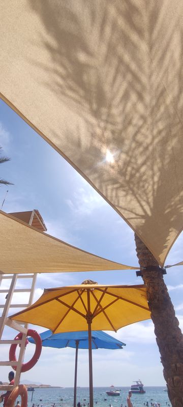 Sharm Holiday Resort фото 130