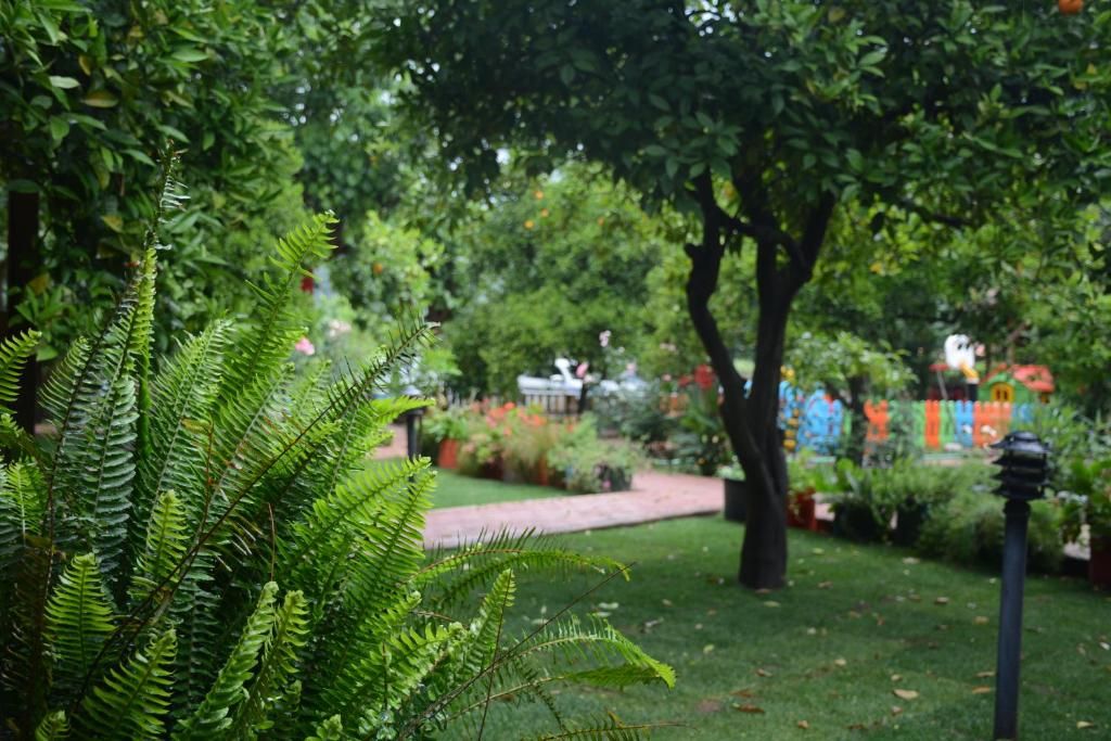 Гостевой дом «Caretta Caretta Pension» фото 16