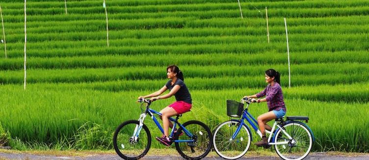 Фото отеля The Santai Villas