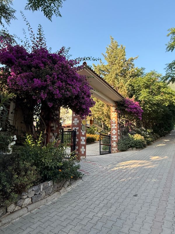 Perdikia Hill Family Resort & Villas фото 53