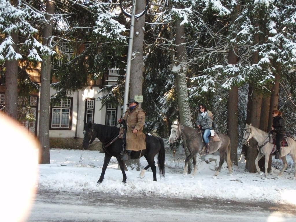 Saint George Borovets Hotel фото 12