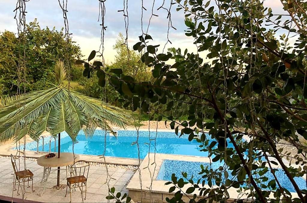 Гостевой дом «Гостевой дом «Villa Familia»» фото 26