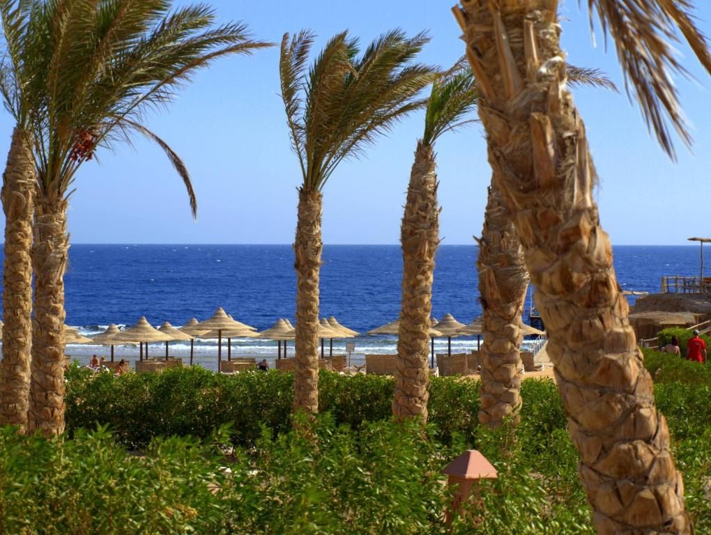 Viva Blue Resort & Diving Sharm El Naga (Adults Only) фото 84
