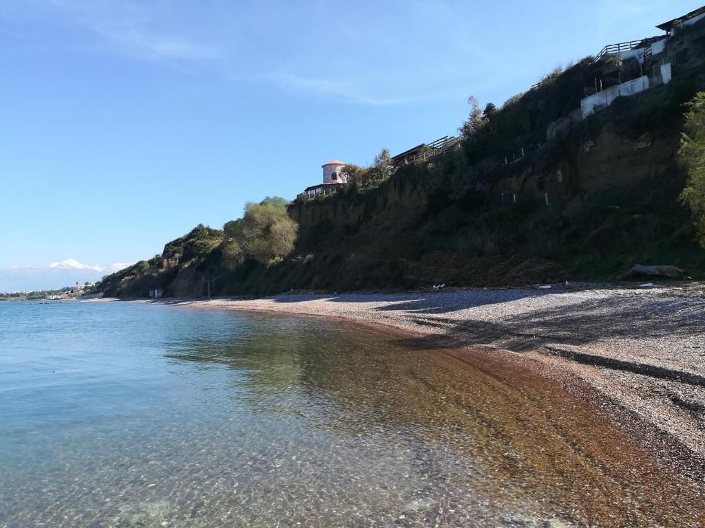 Koralli Beach фото 10