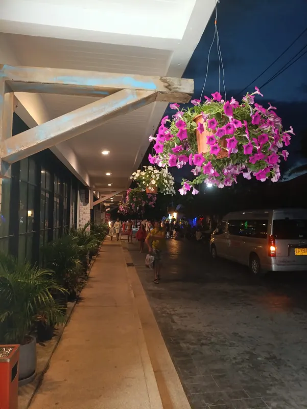 Baumancasa Beach Resort фото 40