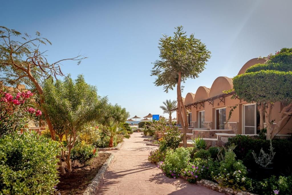 Silver Beach Redsea Resort фото 40