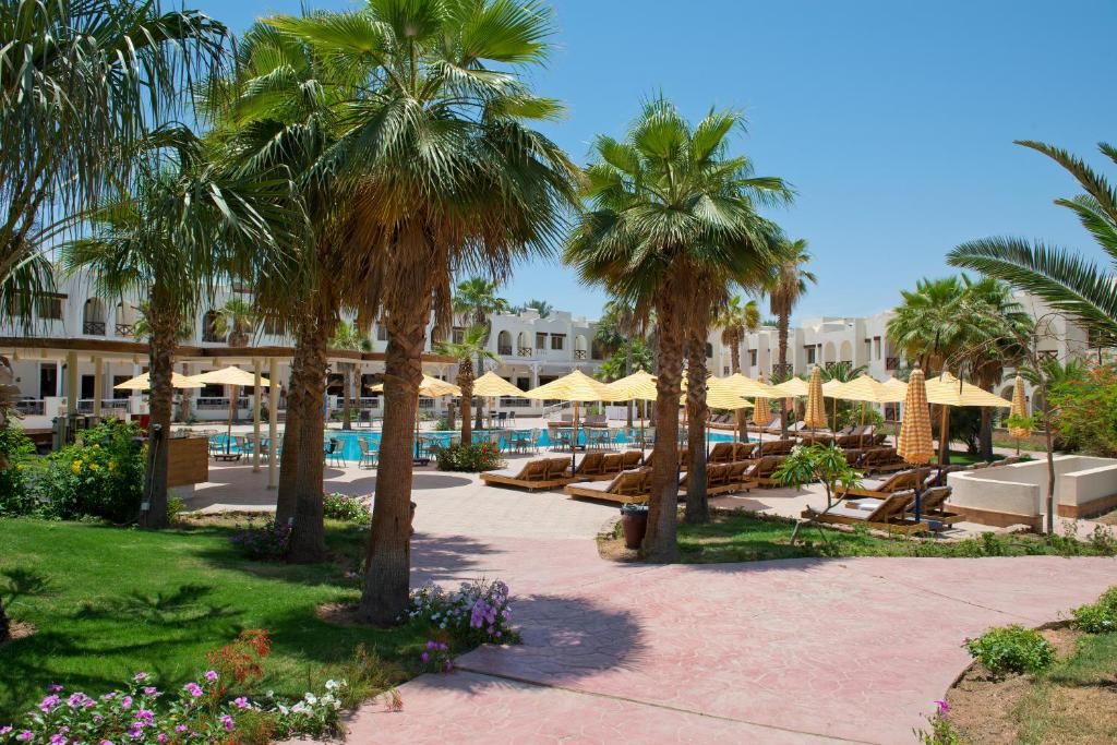 Amphoras Aqua Hotel (Adults Only) фото 20