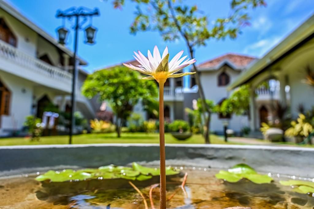 Paradise Holiday Village фото 47