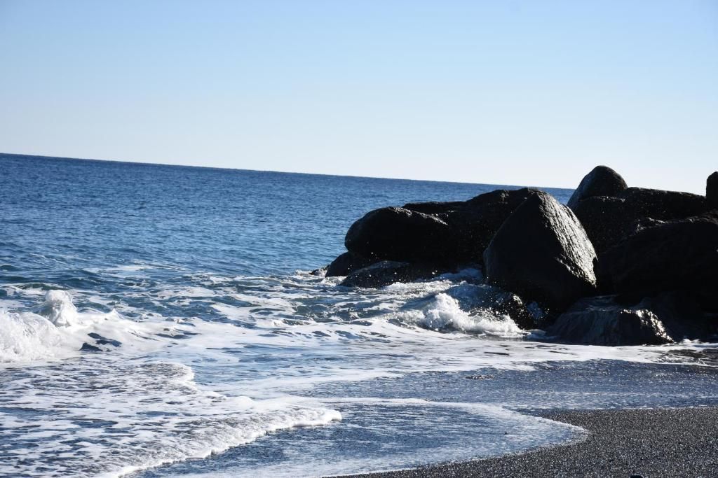 Arion Bay фото 41