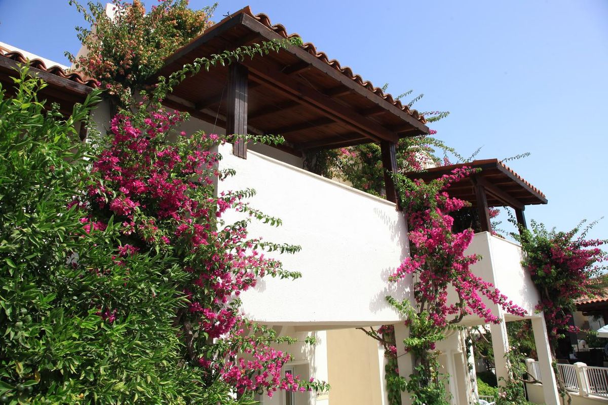 Апарт-отель «Summer Garden Suites & Beach» фото 73