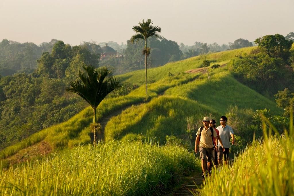 COMO Uma Ubud - CHSE Certified фото 43