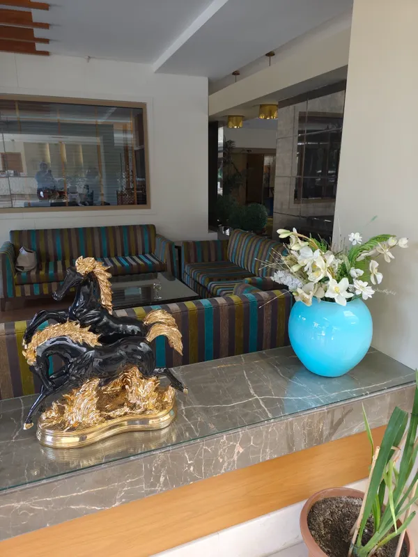 Seher Sun Palace Resort & Spa фото 34