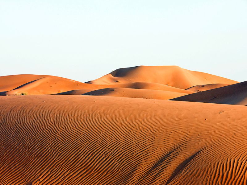 Oryx Grand Jabel Hafeet фото 6