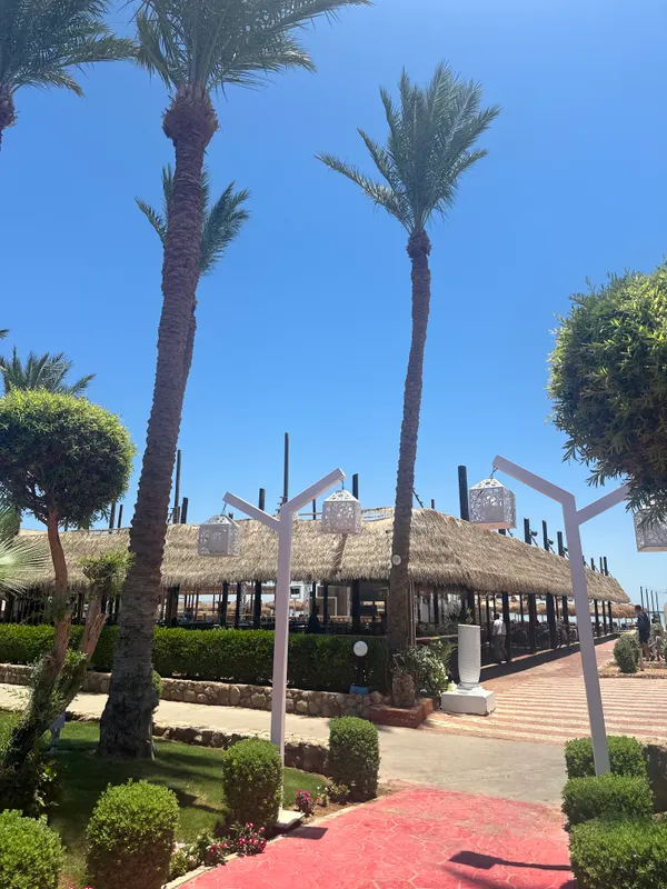 Edge Rotana Sea Beach фото 63