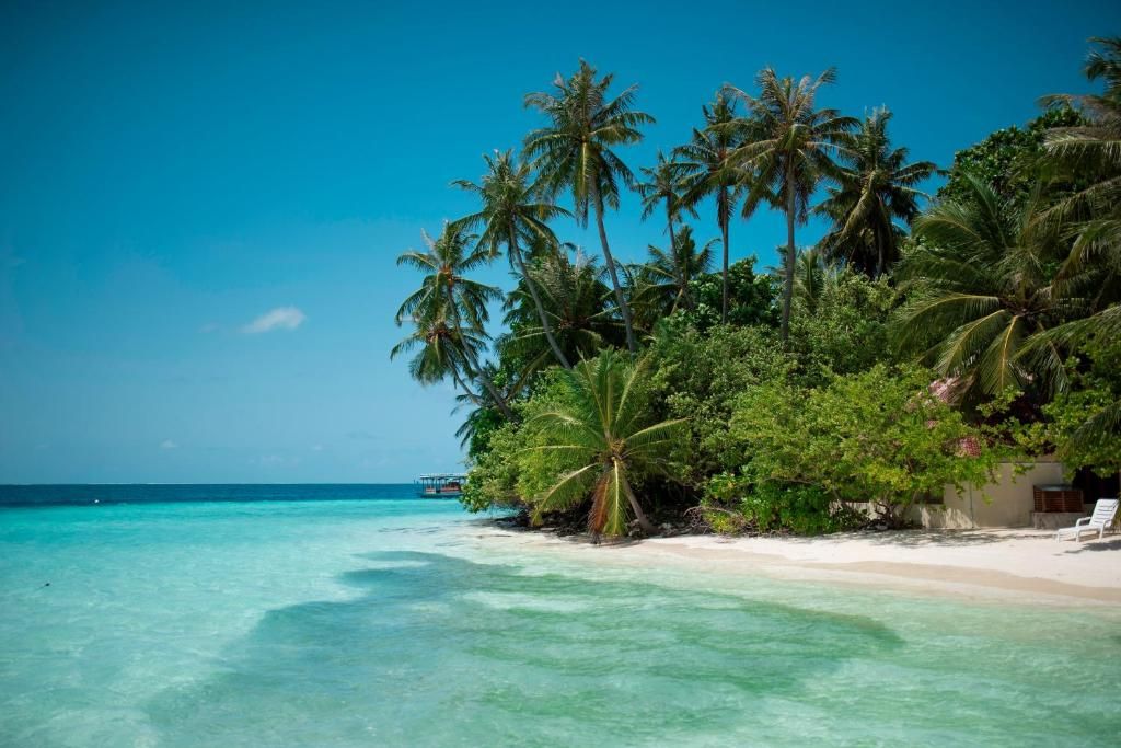 Biyadhoo Island Resort фото 32