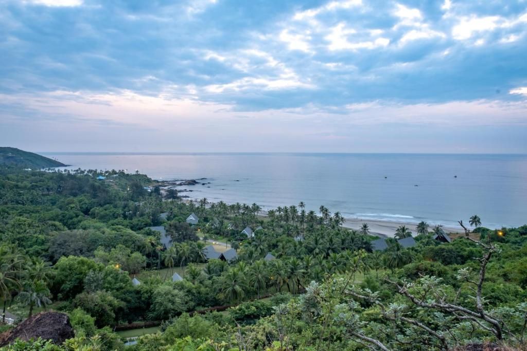 W Goa фото 33