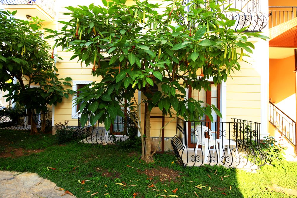 Yel Holiday Resort фото 34