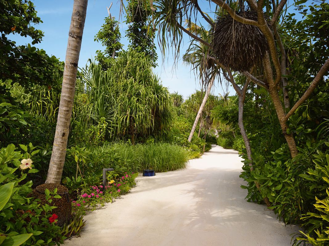 Velaa Private Island фото 93