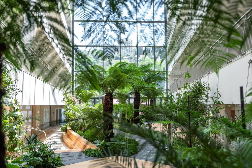 Пансионат «Orchestra Crystal Sochi Resort» фото 7