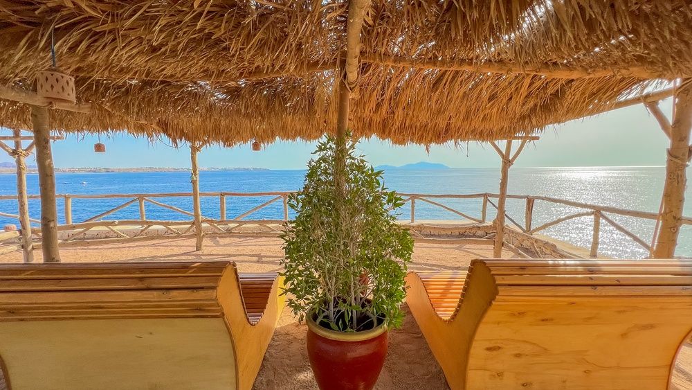 Sharm Club Beach Resort фото 216