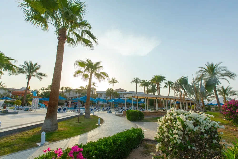 Naama Bay Hotel & Resort фото 100