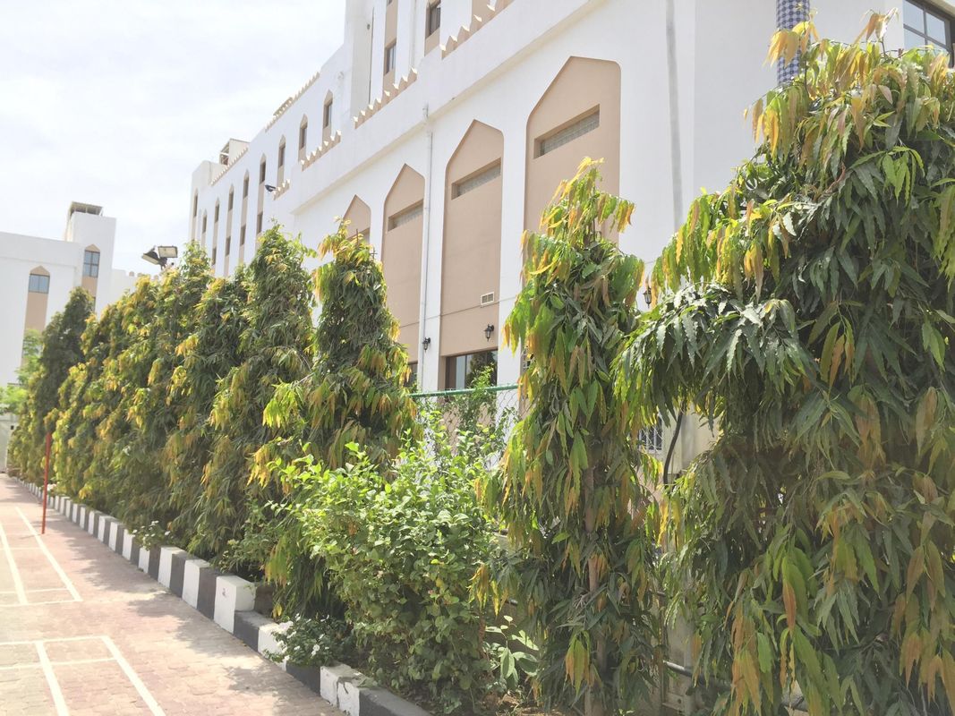 Hotel Al Madinah Holiday фото 18