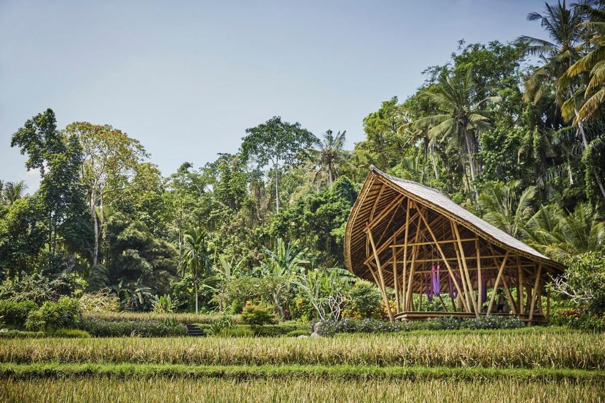 Four Seasons Resort Bali at Sayan фото 13