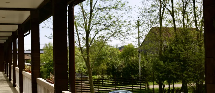 Фото отеля Lion