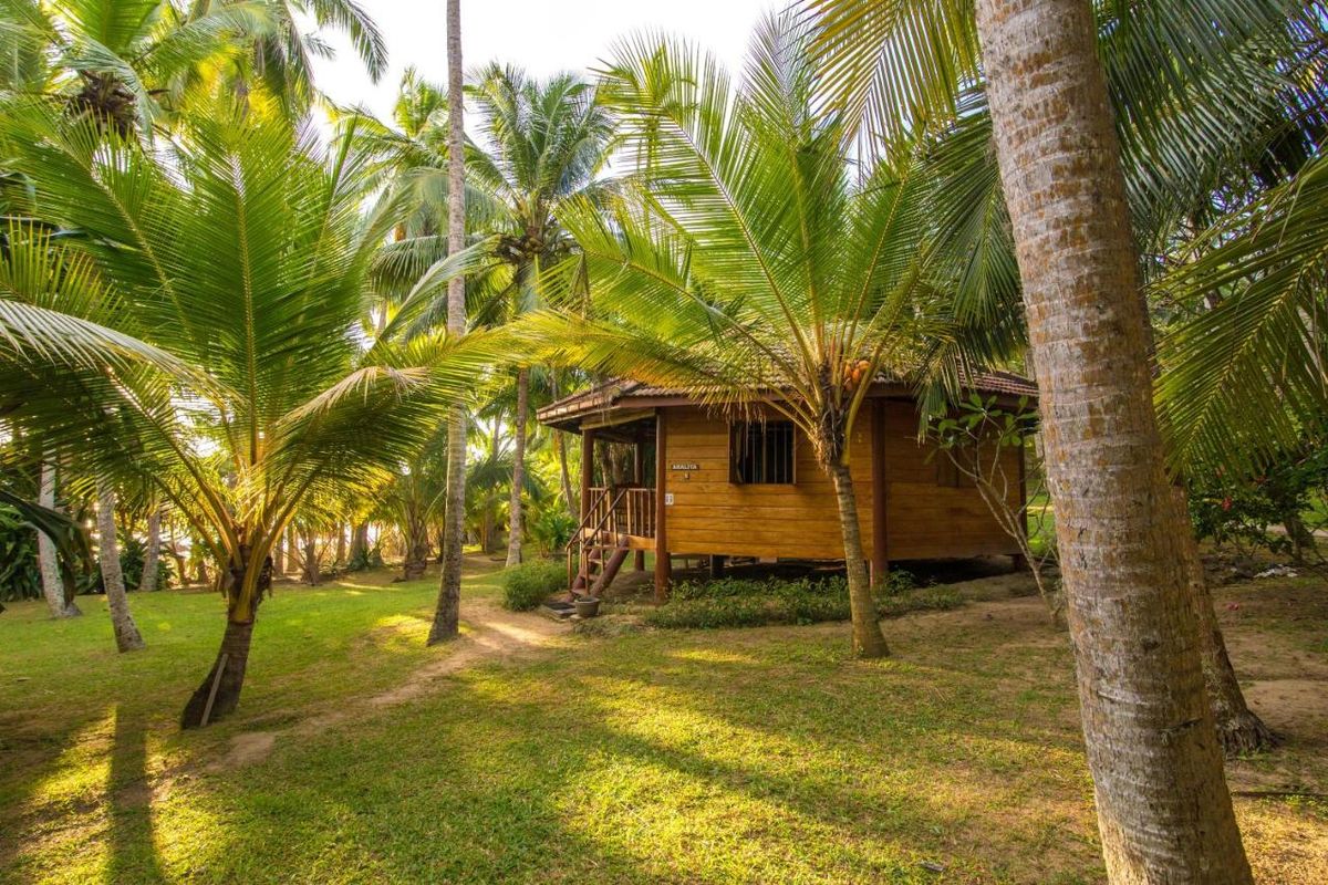 Palm Paradise Cabanas & Villas фото 8