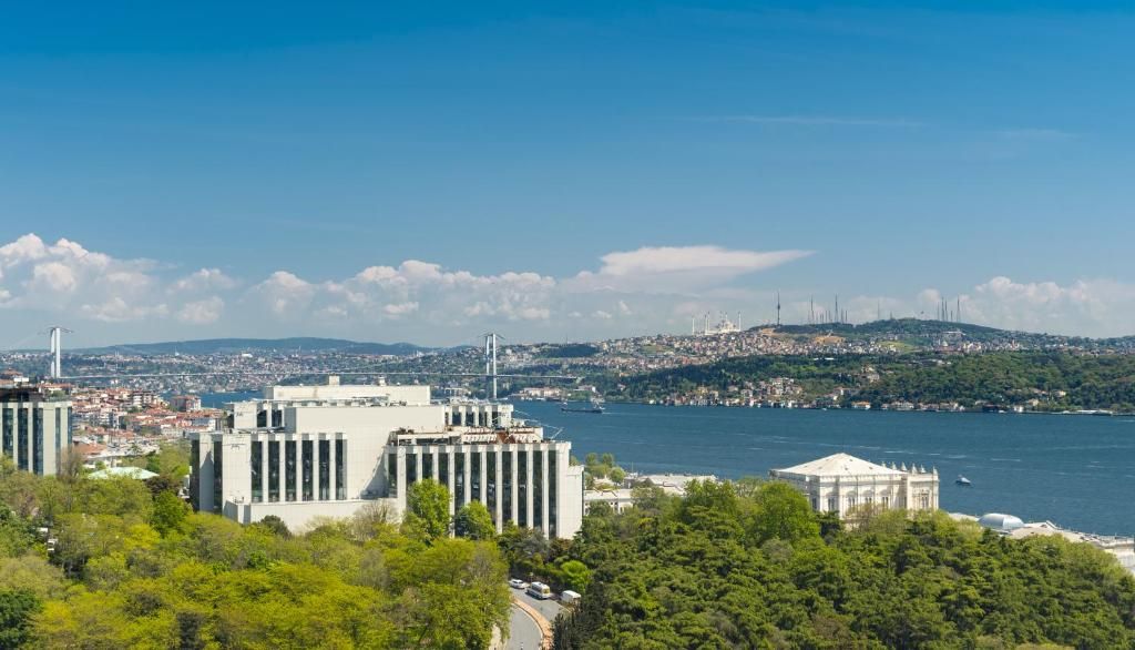 The Ritz-Carlton, Istanbul фото 51