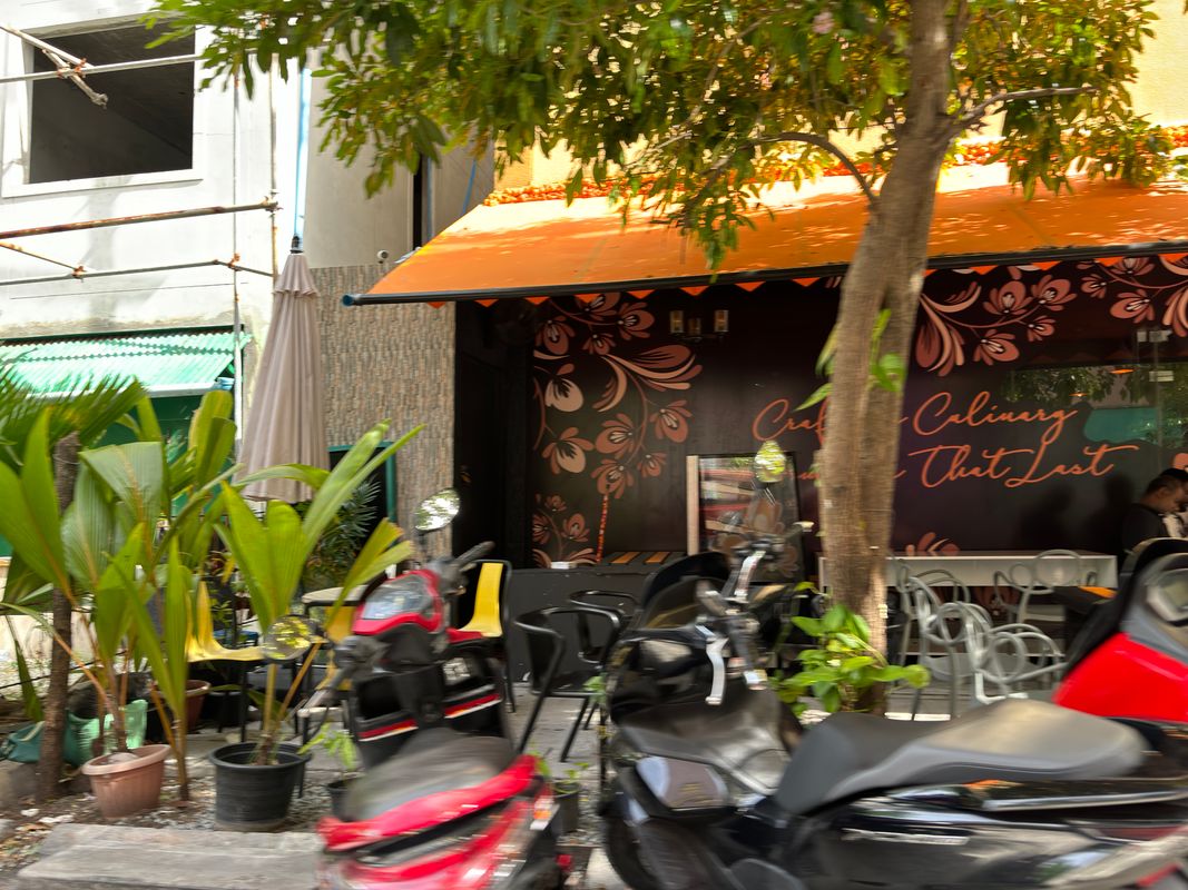 Guest House «The White Harp Beach Guest House» фото 21
