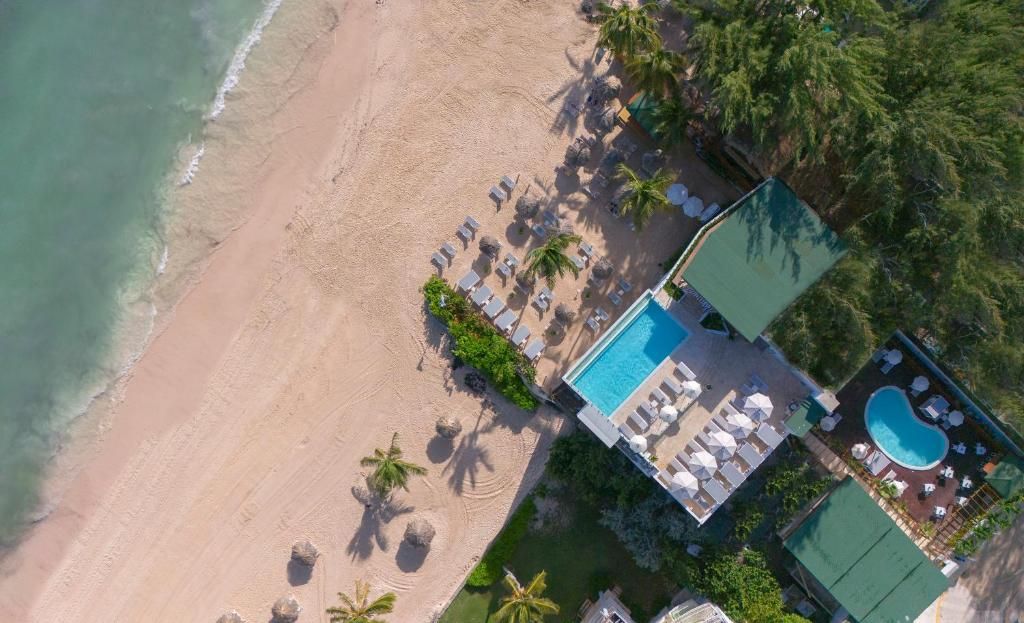 Barcelo Bavaro Beach Adults Only All Inclusive фото 49