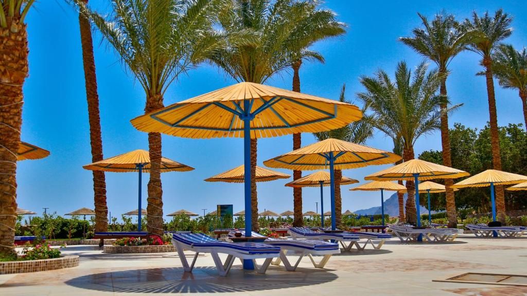 Ecotel Dahab Bay View Resort фото 150