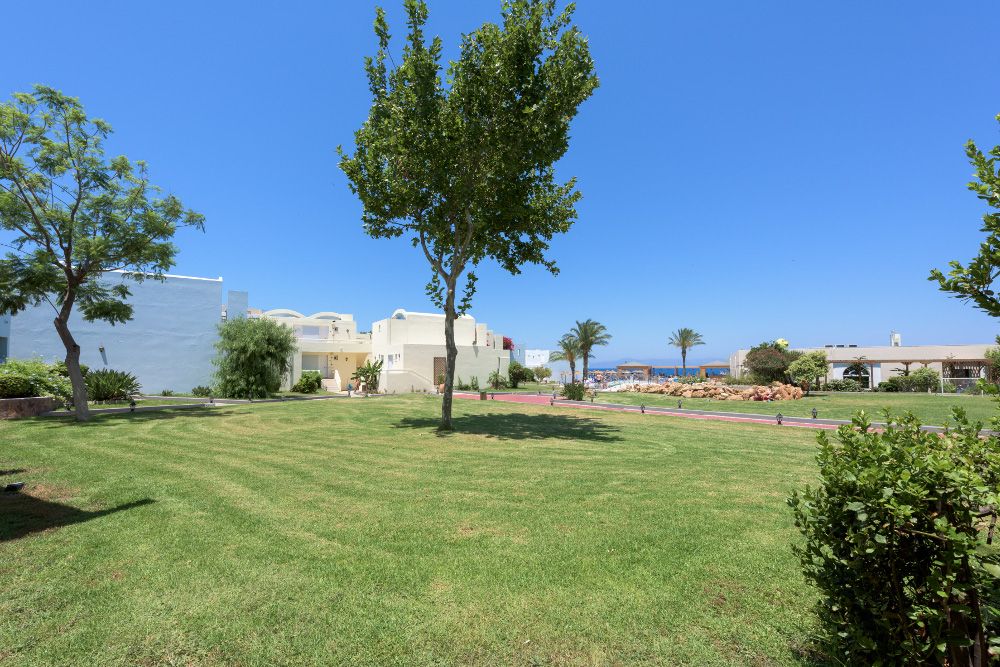 Avra Beach Resort Hotel & Bungalows фото 12