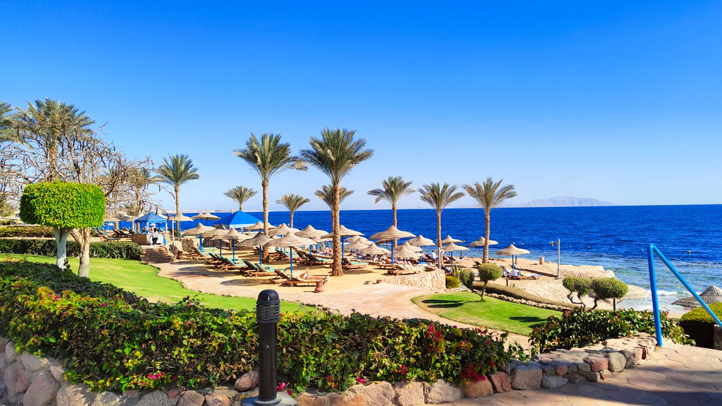 Renaissance Sharm El Sheikh Golden View Beach Resort фото 102